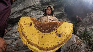 Nepalese Honey that Makes People Hallucinate | Honey Hunting Nepal | Wild Honey Hunting In Nepal