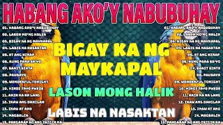 Habang Ako'y Nabubuhay (Playlist Album)💔All Original Tagalog Love Songs 2024🌹PAMATAY PUSONG KANTA🌹