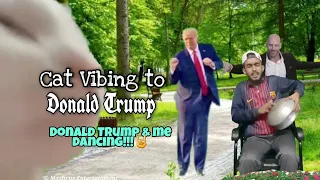 Cat Vibing to Donald Trump & Me | Cat vibing to music bd| Cat Dancing