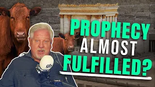 Is the 'Red Heifer Prophecy' in Israel about to be Fulfilled?