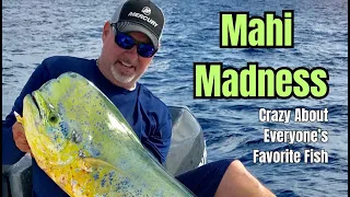 Mahi Madness | Mahi Mahi fishing 2024 | Fishing Mahi Mahi tips | FSFTV