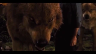 Twilight Werewolf scenes