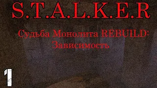 S.T.A.L.K.E.R. Судьба Монолита REBUILD: Зависимость #1 Начало. В Семье не Без Урода