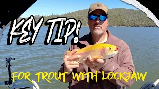 Trout With Lockjaw? This Tip Will Help! #fishing #trout #trolling #troutfishing #fish #kayakfishing