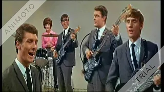 Honeycombs - Have I The Right? - 1964 (UK #1)