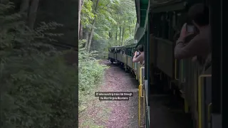 Scenic open car train ride in West Virginia! 📍cass scenic railroad