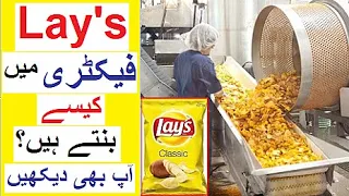 How Lay's are made in Factory - Reality Tv