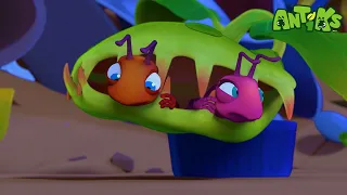 Mr Chompy | Antiks en Español | Dibujos Animados | Videos para niños