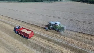 Wheat harvest 2018