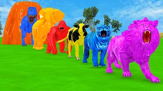 Paint & Animals Lion, Elephant, Tiger, Cow, Gorilla Fountain Crossing Transformation Animals