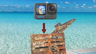 Dropped a GoPro in a Stone Crab Trap & Saw This!