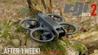 DJI AVATA 2: AFTER 1 WEEK! IS IT WORTH THE HYPE? #dji #fpv #djiavata2 #lumixs5iix #drone #dronepilot