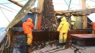 Boomkorvisserij op de Noordzee