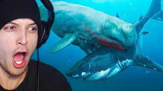 Reacting to 6 Biggest Megalodon Enemies Ever Existed!