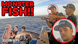 You WON’T BELIEVE what bait we used to catch these (BASS, GROUPER) - S8 EP3 Whangaroa