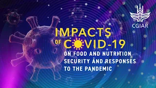 Impacts of COVID-19 on Food and Nutrition Security and Responses to the Pandemic