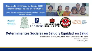 Grabación de la sesión: "Determinantes Sociales en Salud y Equidad en Salud"