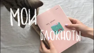 МОИ БЛОКНОТЫ| все мои ежедневники| bullet journal 📔| ежедневники 2020-2022