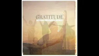 Brandon Lake, Hydro Walkers - Gratitude (Hydro Walkers Remix)