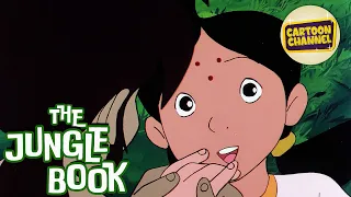 The Jungle Book // Episode 51 // Free Cartoons for Kids // Adventure Toons // Animated Series