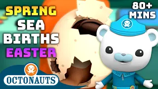 #Easter @Octonauts - Spring Sea Births 🥚 | 80 Mins+ | Cartoons for Kids | Underwater Sea Education