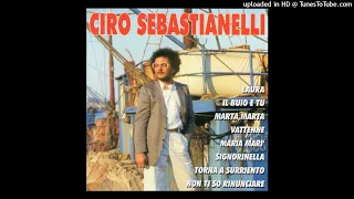 Ciro Sebastianelli - Noi verso il duemila