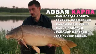 Карпфишинг. Как правильно кормить карпа, чтобы клевало всегда?