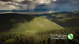 Conservation Media® - Forest Transfer Project for The Nature Conservancy