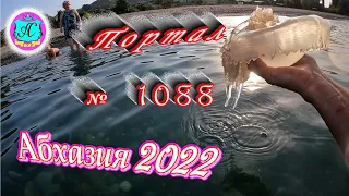 #Абхазия2022❗8 октября🌴Выпуск №1088❗ Погода от Водяного🌡вчера было +25°🌡ночью +17°🐬море +23,2°