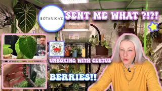 Rare Houseplant Unboxing From Botanicaz and Ecuagenera!  | Plus, I Planted Some Anthurium Berries.