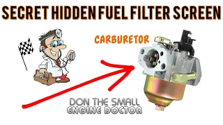 Hidden Carburetor Fuel Filter Screen On Small Engines! Must see! - Video