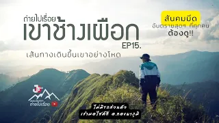 EP15. เขาช้างเผือก ขึ้นยากไหม​ เช่ามอ​ไซค์​ที่ไหน​ ต้องดู อช.ทองผาภูมิ Jokaka ReeTrips. ถ่ายไปเรื่อย