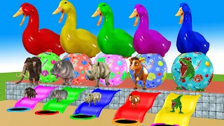 5 Giant Duck, Monkey, Lion, chicken, piglet, Rinho, Sheep, Transfiguration funny animal 2023 #16