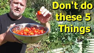 For BETTER Tasting Tomatoes DON'T Do These Things!