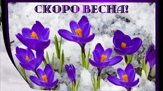 Скоро весна - ждем с нетерпением #весна #природа #цветут деревья