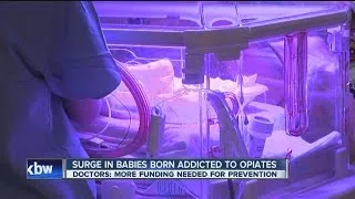 Baby born addicted to opiates every 19 minutes