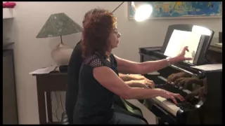 Schubert Grande  Sonata D.617 op 30- Hana Lavy&Niza Abravaya