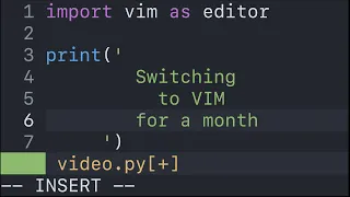 Programming with only vim for 30 days