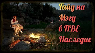 Black Desert / BD: Актуальный Гайд на Мэгу (в ПВЕ - Наследие) от 16.02.23