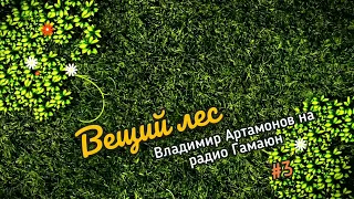 Вещий Лес  Выпуск Третий