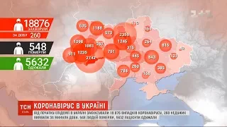 Обнадійлива статистика: в Україні з добу - 260 недужих на коронавірус