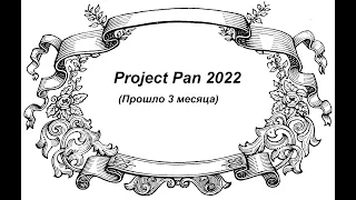 Project Pan 2022. Первый отчёт. (Прошло 3 месяца)