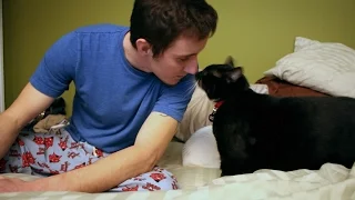 Josh & Scout, A Mutual Rescue Film