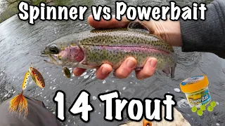 Spinner vs. Powerbait (14 Trout Caught) | 60 Days of Trout Fishing | Day 11