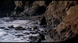 Harold And Maude - Final Scene