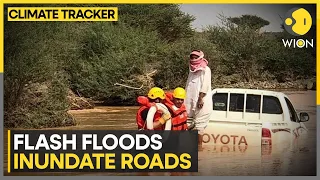 Saudi Floods: Torrential rain shuts schools in Saudi | WION Climate Tracker