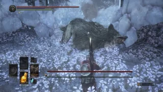 Dark Souls 3 Champion's Gravetender & Greatwolf [NG+7,NO DAMAGE]