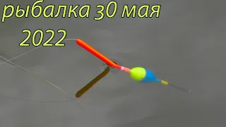 Рыбалка с Фиником  30 мая 2022 на новом месте