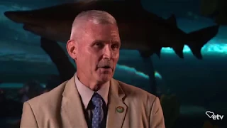 Melvin Bell - Full Interview | Sea Change