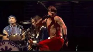 Havana Affair - Red Hot Chili Peppers - Slane Castle